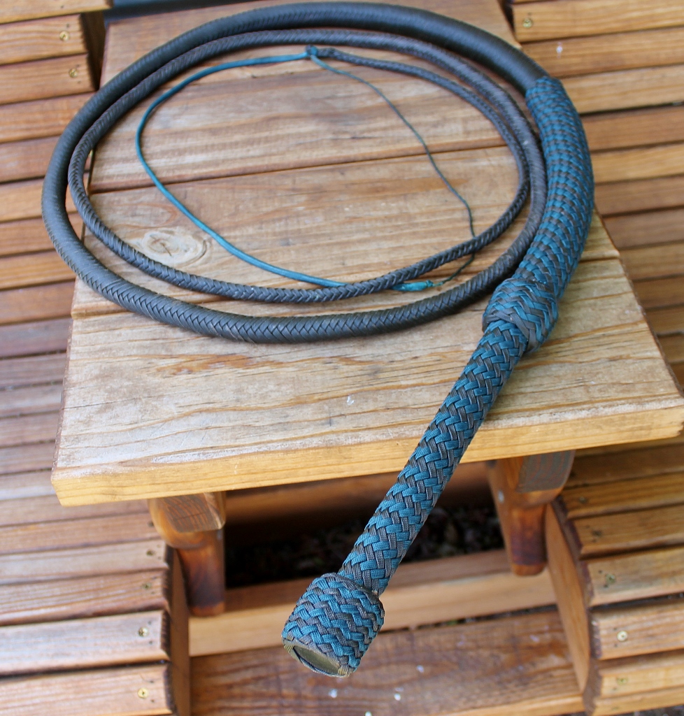 Cinnamon Teal Glamour shots (5) (978x1024)