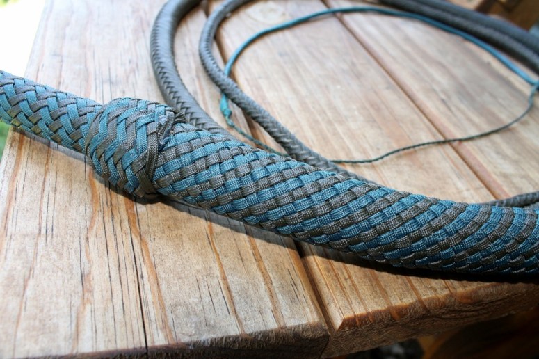 Cinnamon Teal Glamour shots (6) (1024x683)