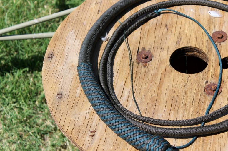 Cinnamon Teal Glamour shots (8) (1024x683)