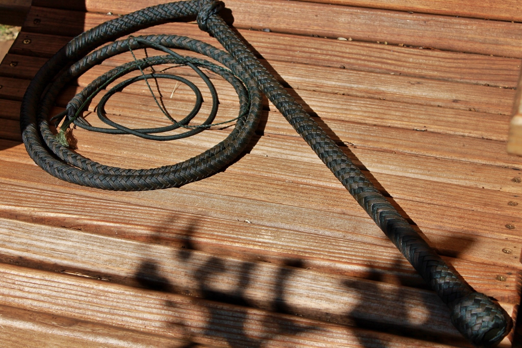 Stock Whip (1) (1024x683)