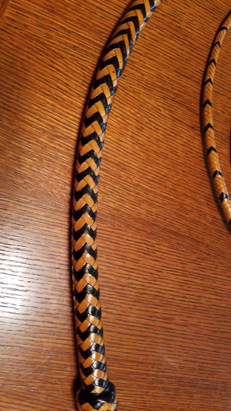 Black and Tan Fantasy (6)