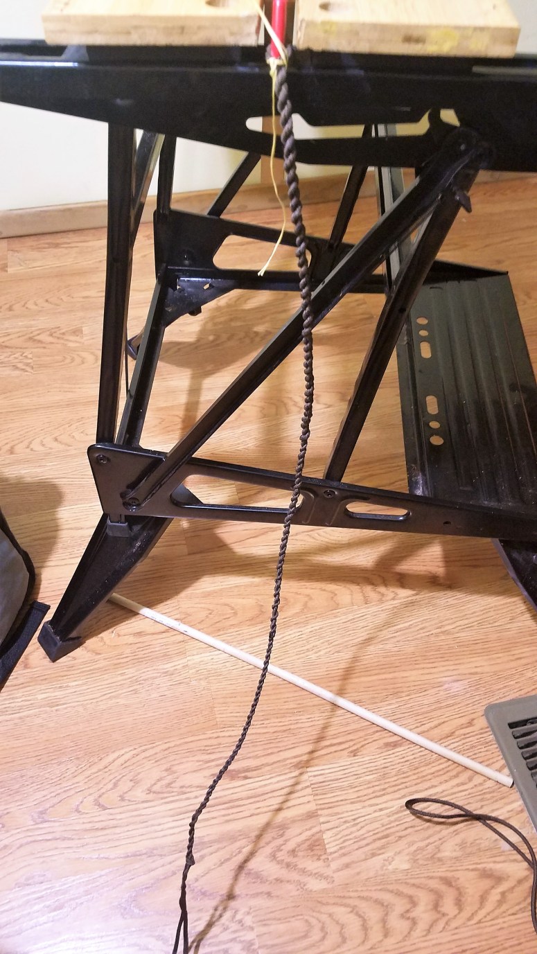 Maiko's Stock Whip (1)