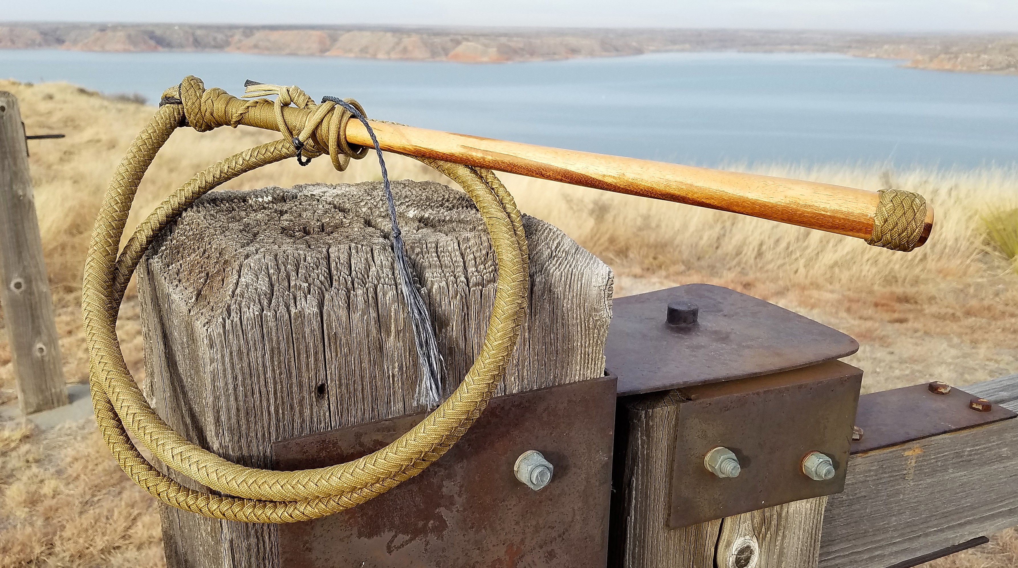 Maiko's Stock Whip (17)