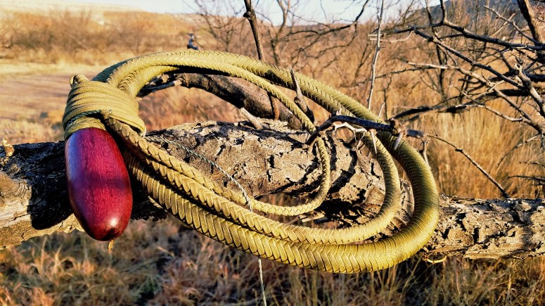 8 ft gold snake whip (9)