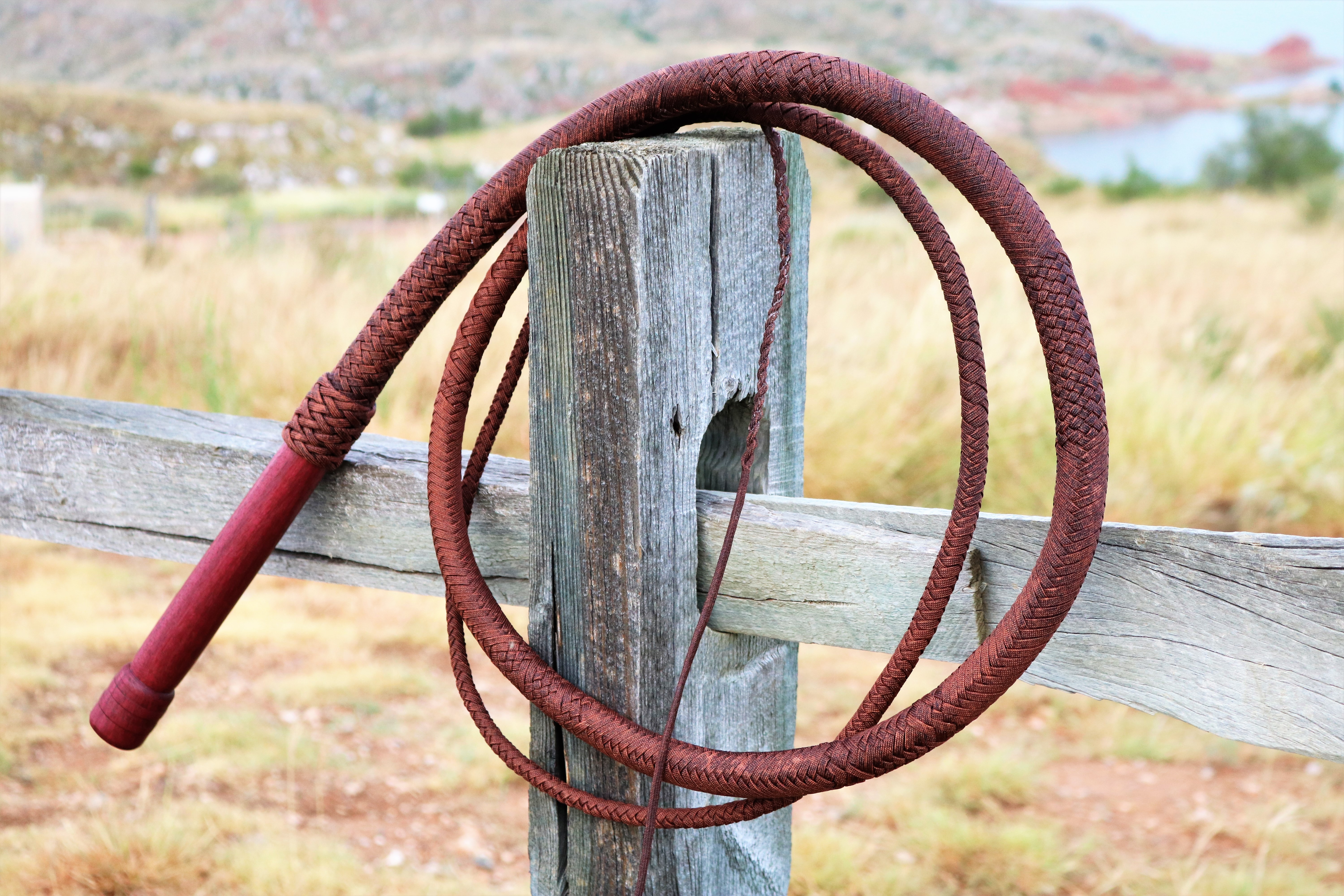 Red Dog Glam Shots (16)