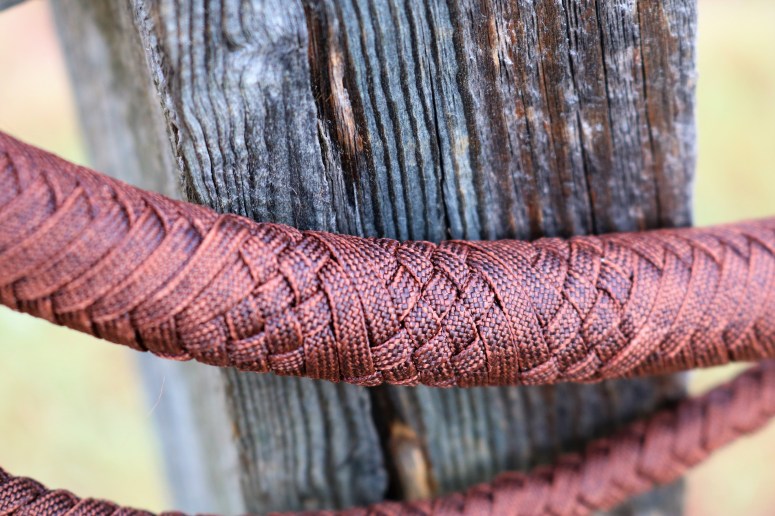 Red Dog Glam Shots (7)