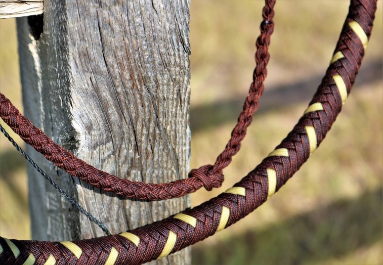 Flint (27)1280x886] 27