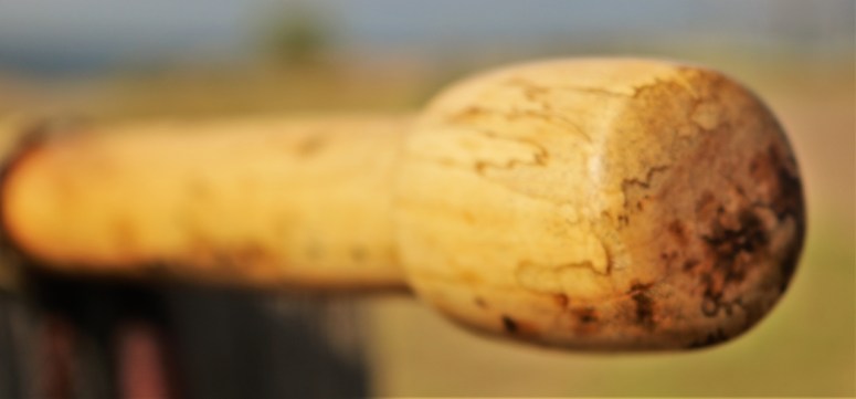 Flint (29)1280x597] 29